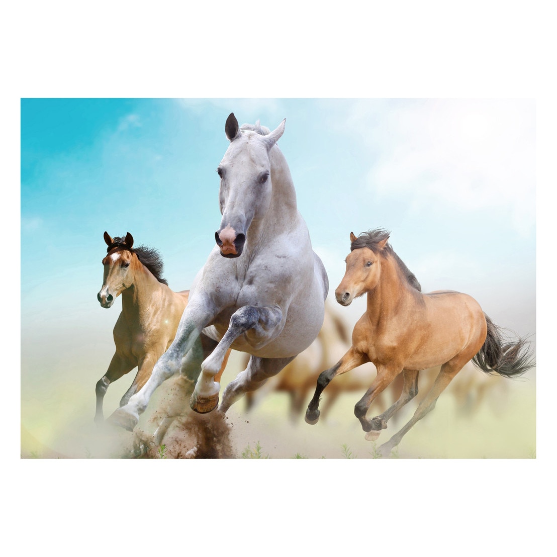 Fototapet Cai - BLH-22, 70 x 100 cm