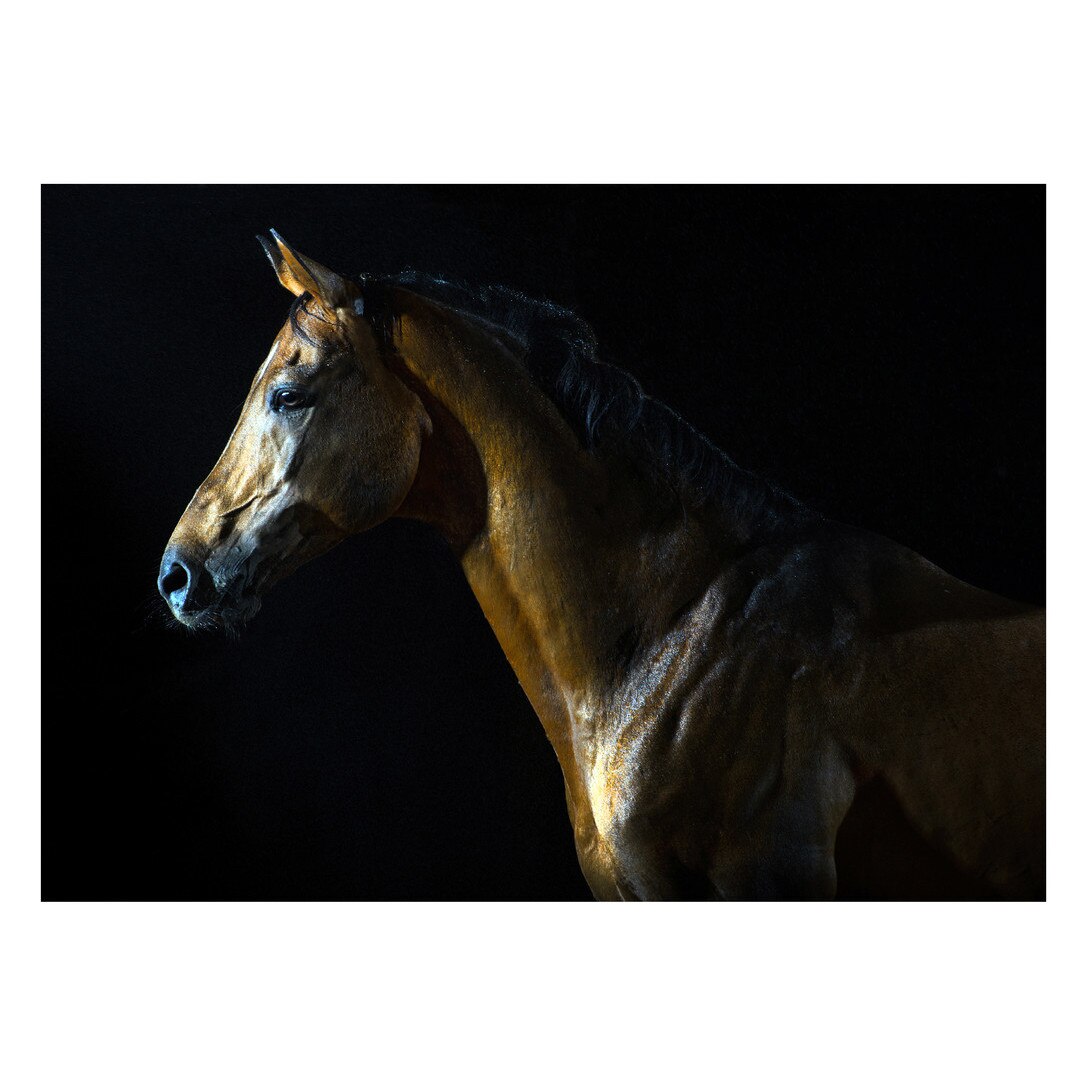 Fototapet Cai - BLH-28, 100 x 140 cm