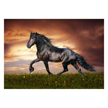 Fototapet Cai - BLH-10, 70 x 100 cm Fototapet Cai - BLH-10, 70 x 100 cm