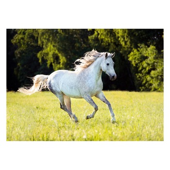 Fototapet Cai - BLH-26, 100 x 140 cm Fototapet Cai - BLH-26, 100 x 140 cm