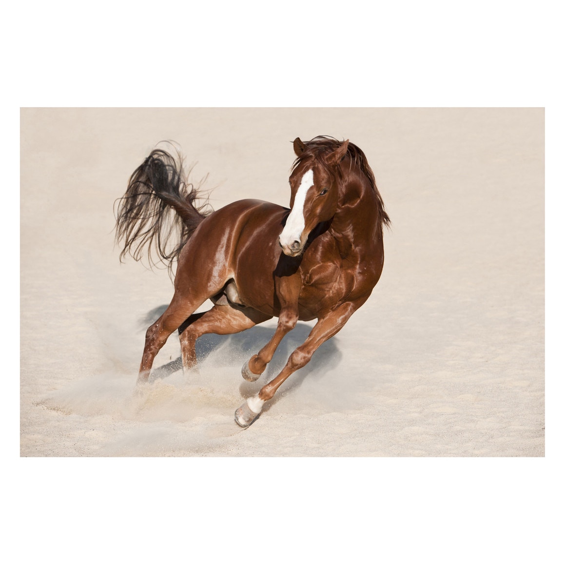 Fototapet Cai - BLH-42, 100 x 150 cm