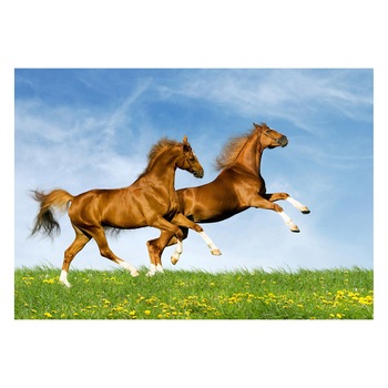 Fototapet Cai - BLH-11, 70 x 100 cm Fototapet Cai - BLH-11, 70 x 100 cm