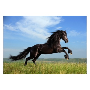 Fototapet Cai - BLH-20, 70 x 100 cm Fototapet Cai - BLH-20, 70 x 100 cm