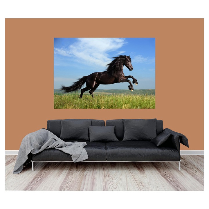 Fototapet Cai - BLH-20, 70 x 100 cm