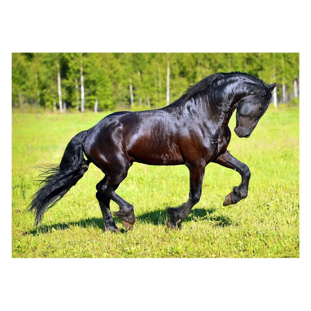 Fototapet Cai - BLH-01, 100 x 140 cm