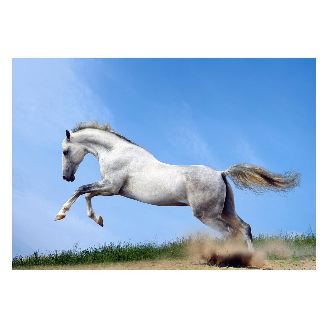 Fototapet Cai - BLH-45, 70 x 100 cm