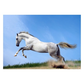 Fototapet Cai - BLH-45, 70 x 100 cm Fototapet Cai - BLH-45, 70 x 100 cm