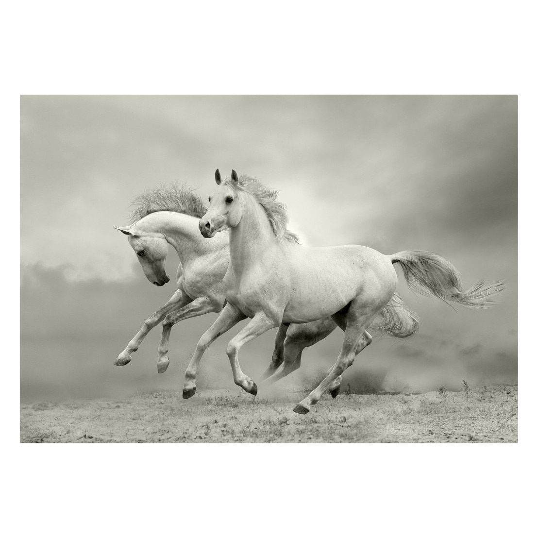 Fototapet Cai - BLH-44, 70 x 100 cm