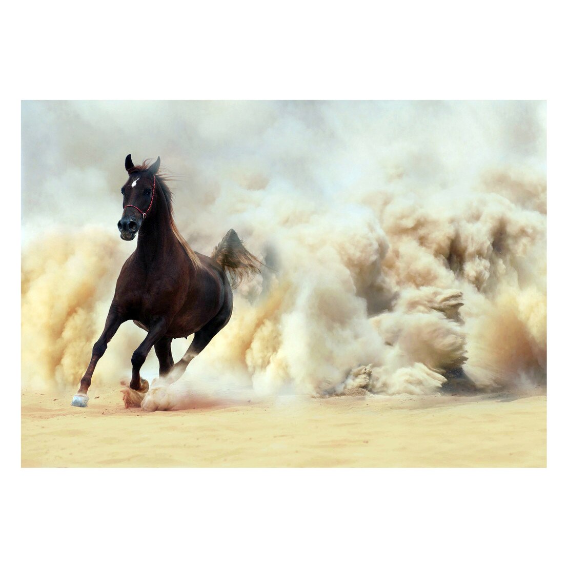 Fototapet Cai - BLH-52, 70 x 100 cm