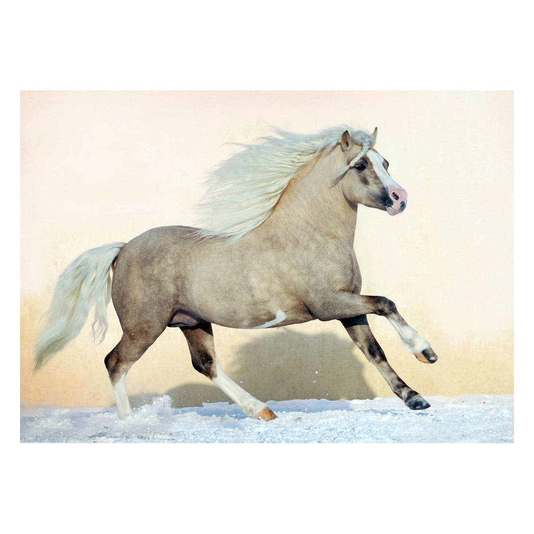 Fototapet Cai - BLH-30, 100 x 140 cm