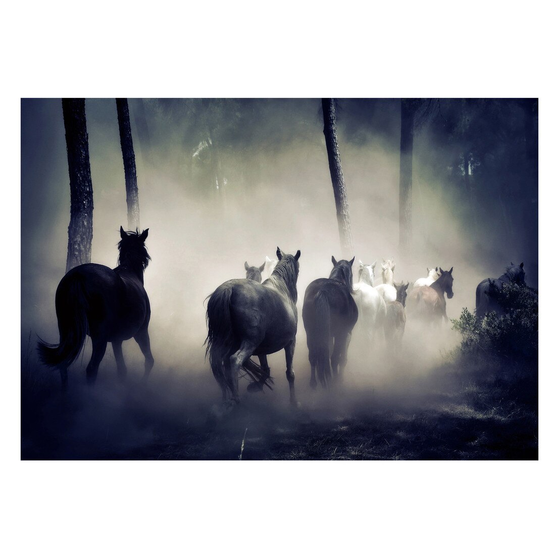 Fototapet Cai - BLH-14, 70 x 100 cm