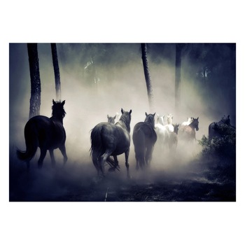 Fototapet Cai - BLH-14, 70 x 100 cm Fototapet Cai - BLH-14, 70 x 100 cm