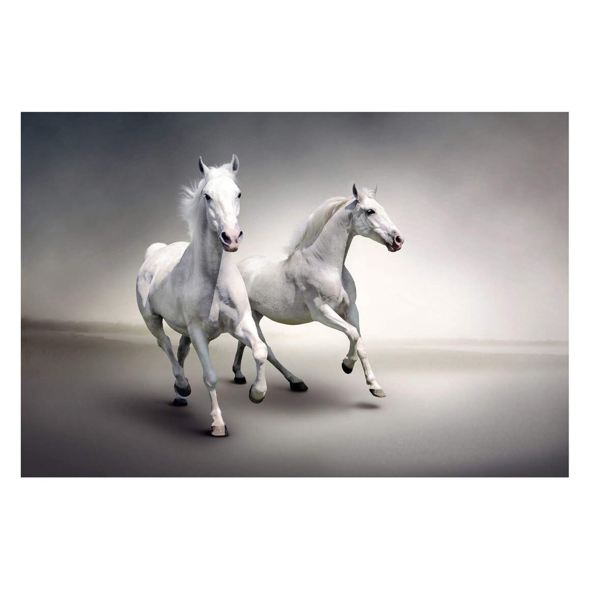 Fototapet Cai - BLH-08, 100 x 150 cm