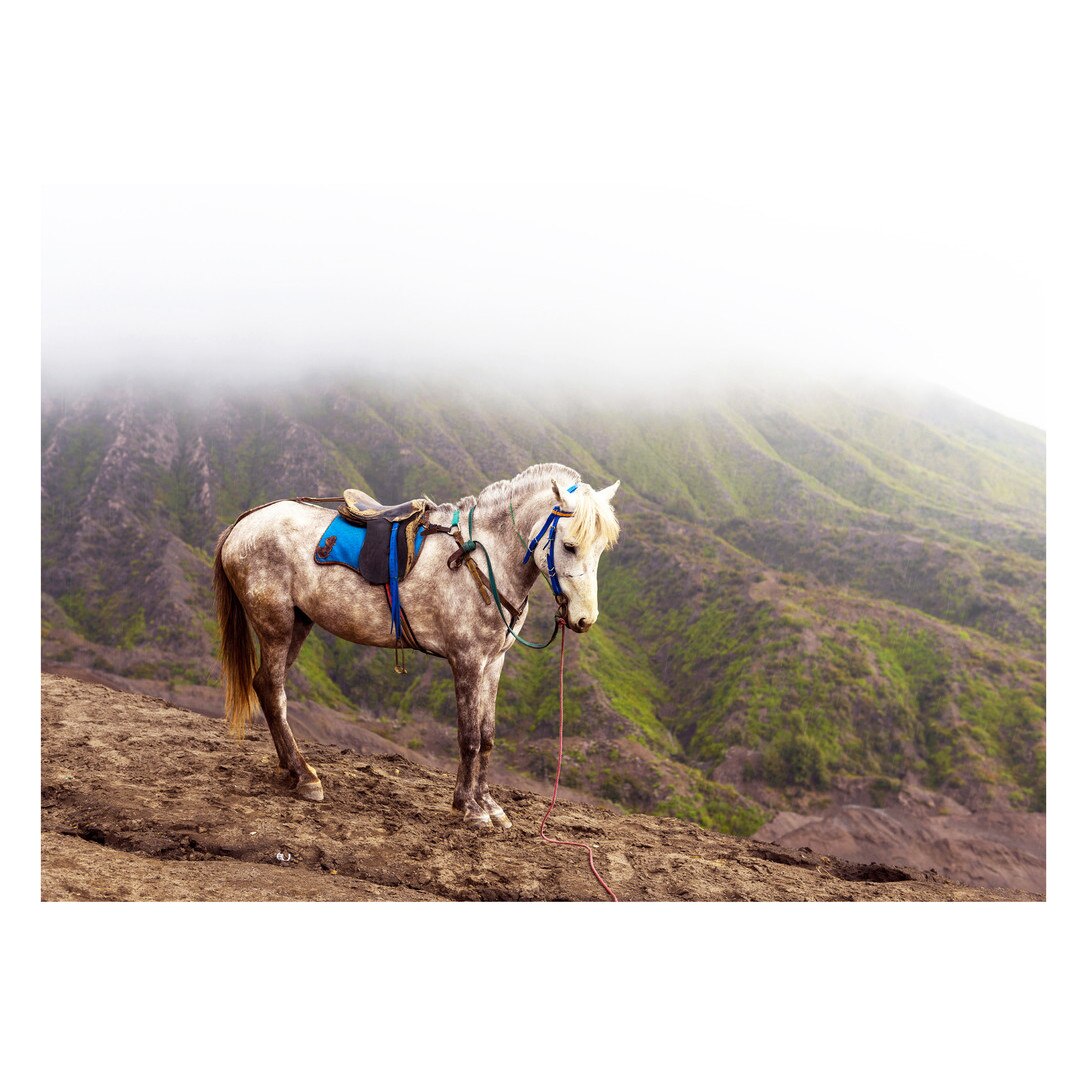 Fototapet Cai - BLH-29, 100 x 140 cm