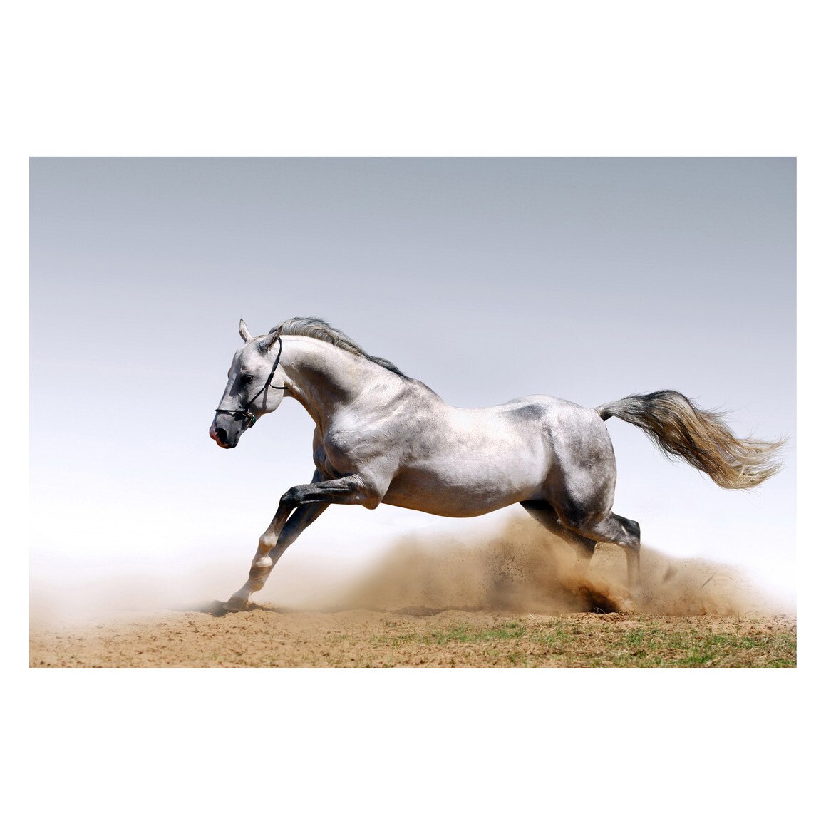 Fototapet Cai - BLH-02, 100 x 150 cm