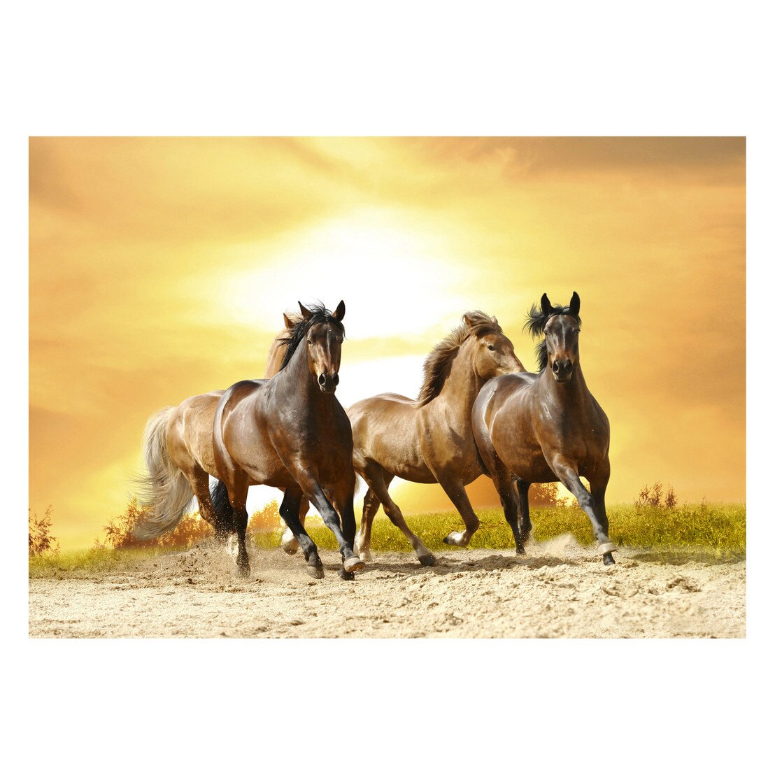 Fototapet Cai - BLH-16, 70 x 100 cm