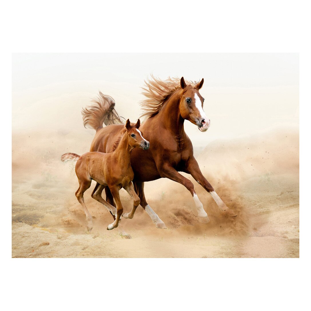 Fototapet Cai - BLH-06, 100 x 140 cm