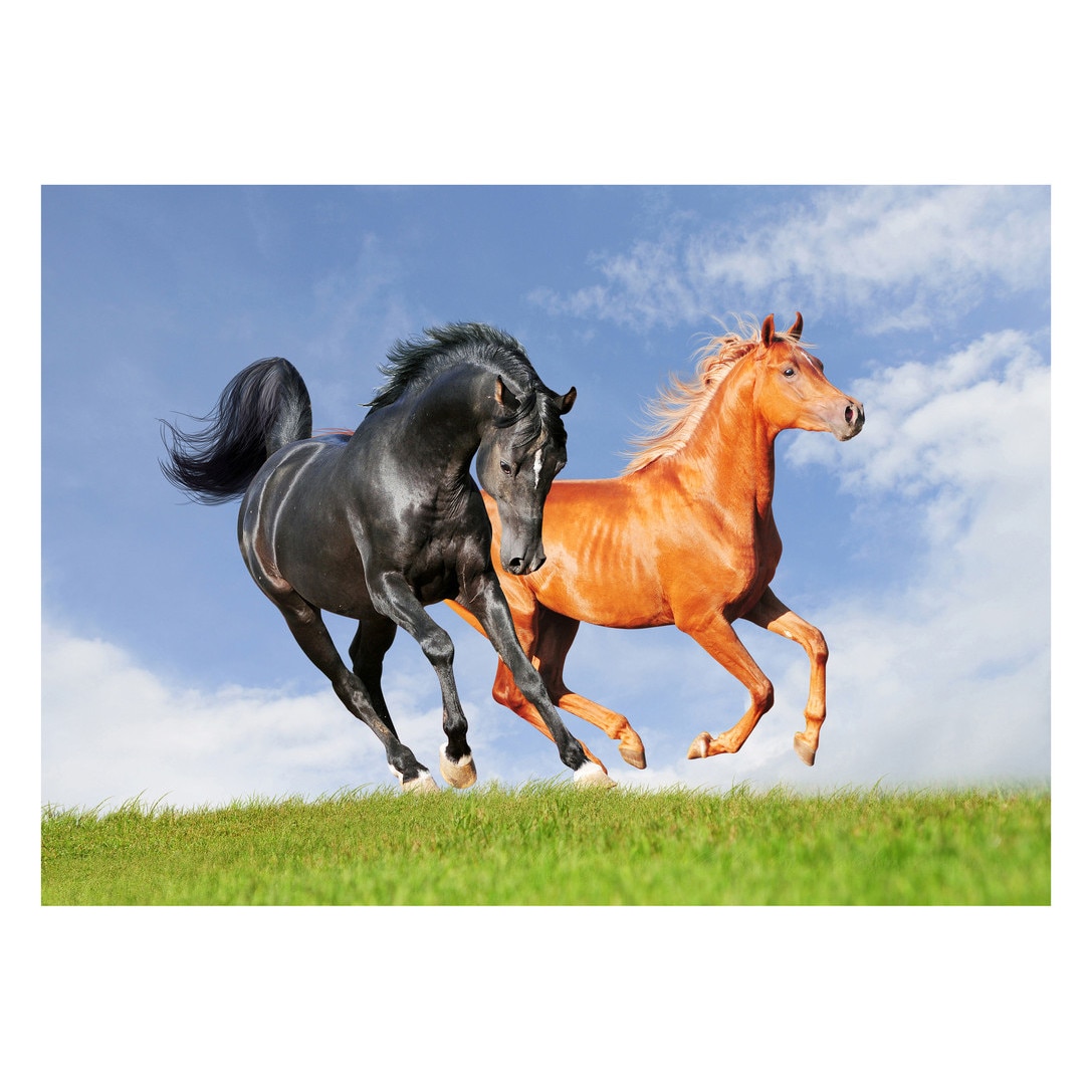 Fototapet Cai - BLH-03, 100 x 140 cm