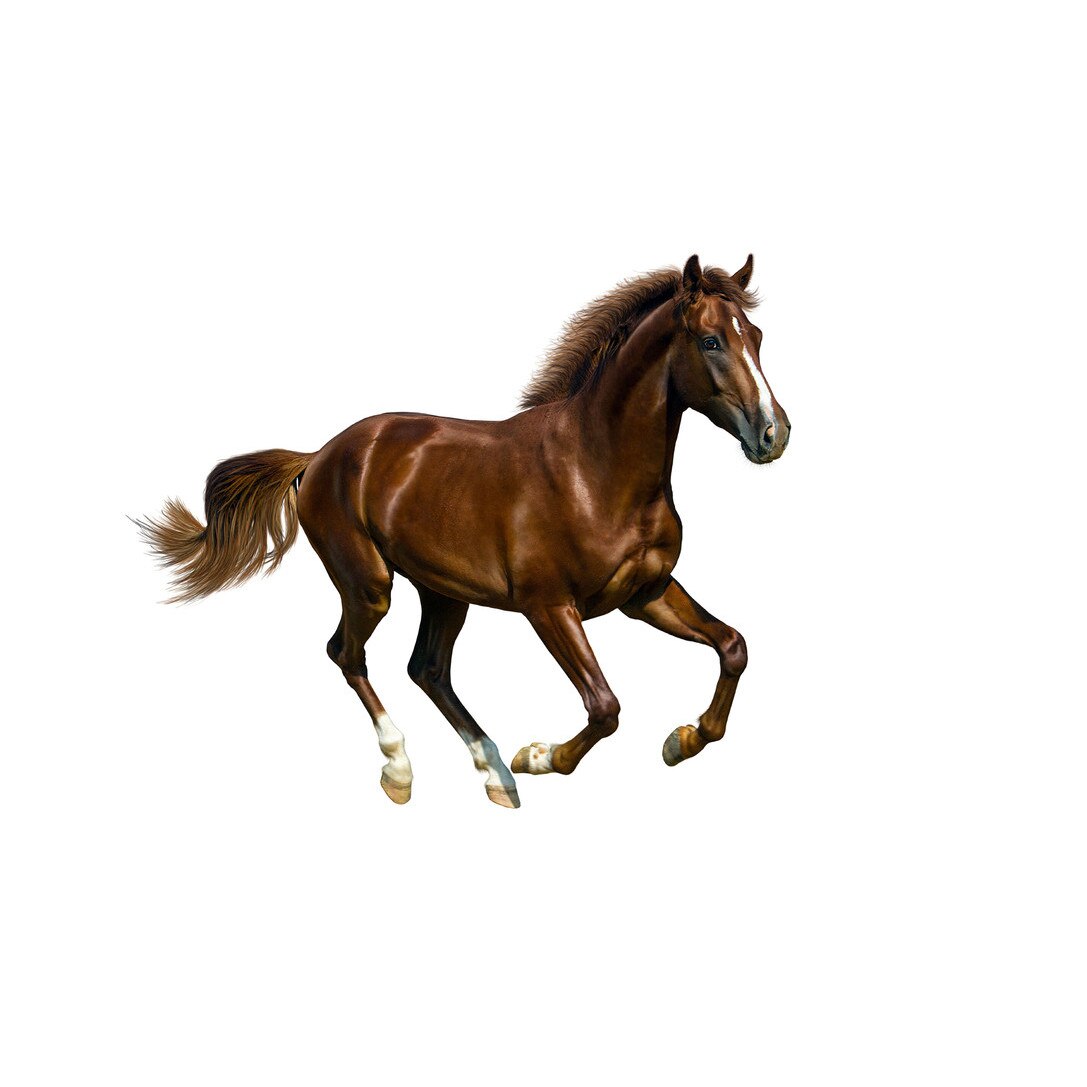 Fototapet Cai - BLH-25, 100 x 140 cm