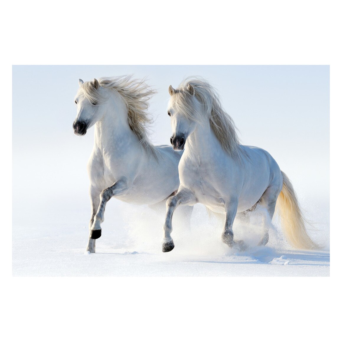 Fototapet Cai - BLH-48, 100 x 150 cm