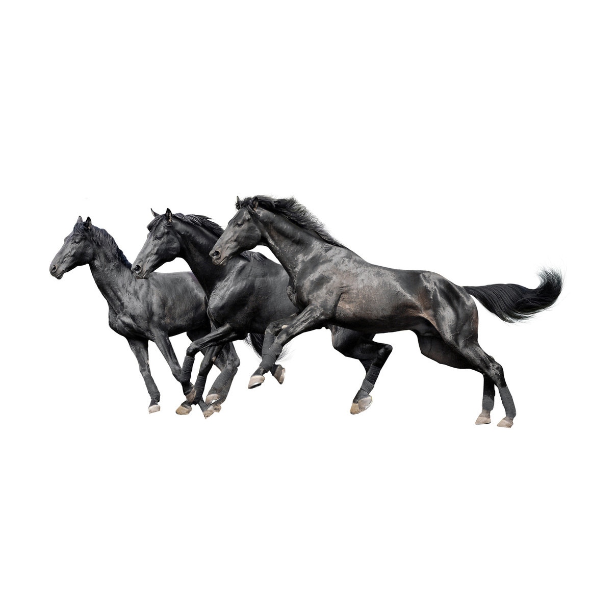 Fototapet Cai - BLH-32, 100 x 150 cm