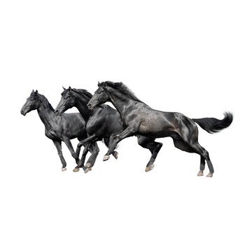 Fototapet Cai - BLH-32, 100 x 150 cm Fototapet Cai - BLH-32, 100 x 150 cm