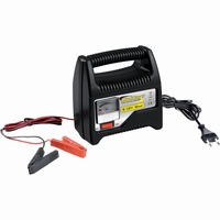 Incarcator baterie cu manometru Bottari, 6A, 6V/12V