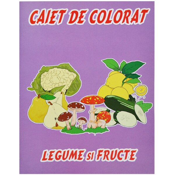 Caiet pentru colorat Vision, A4