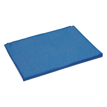 Covor dezinfectie 85x60x3 Covor dezinfectie 85x60x3