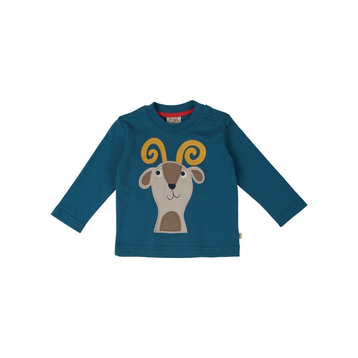 Bluza Discovery cu caprita, bumbac organic, albastru, copii,18-24 luni