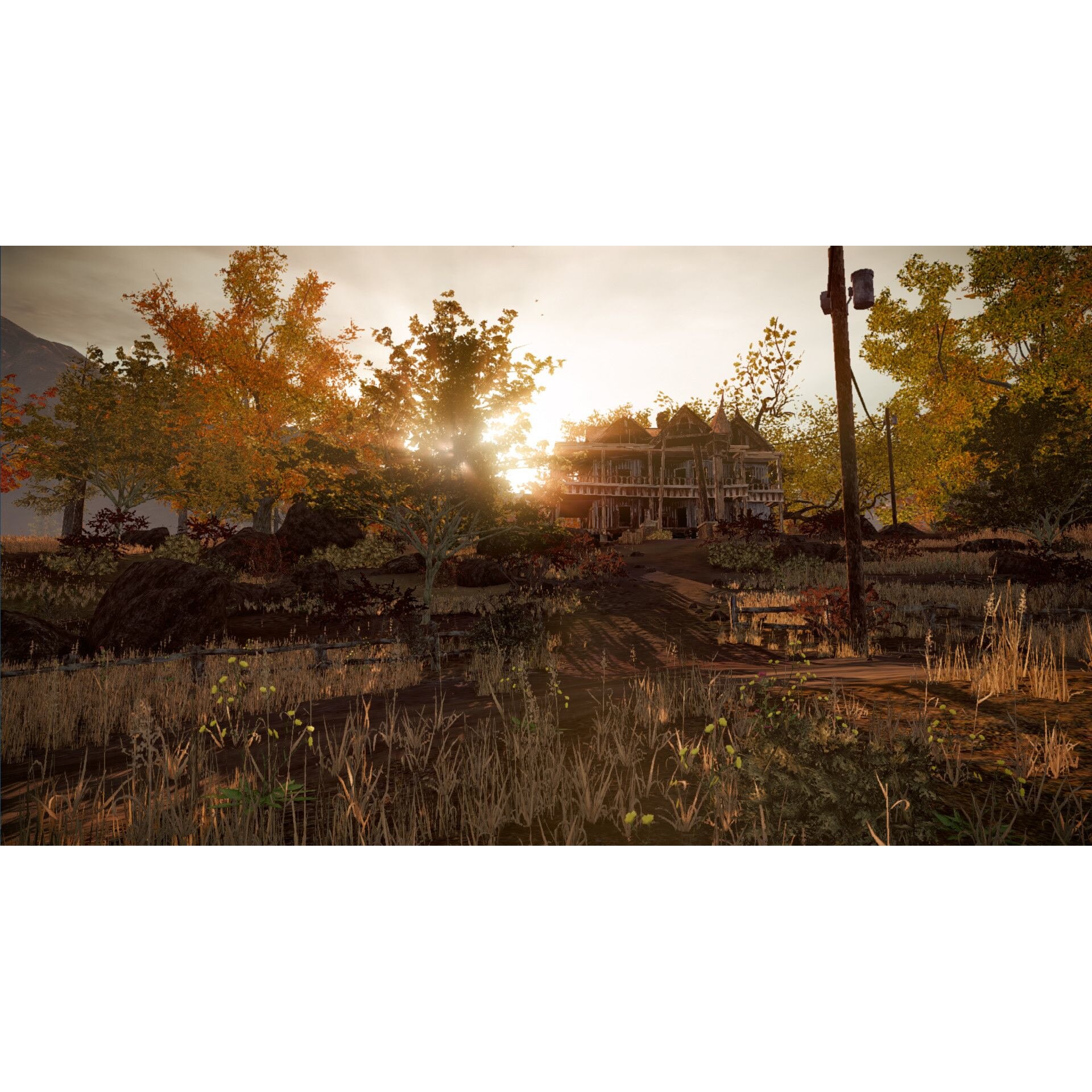 Joc State of Decay pentru Steam