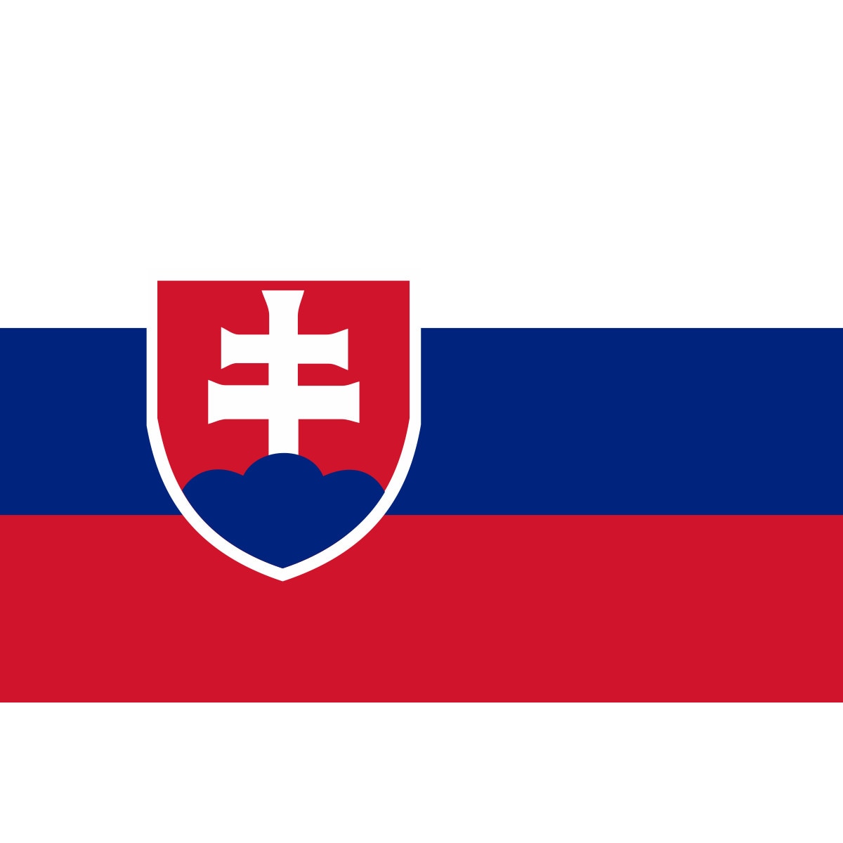 Steag Slovacia, IMPRIMAT, Metropolis 135x90 cm