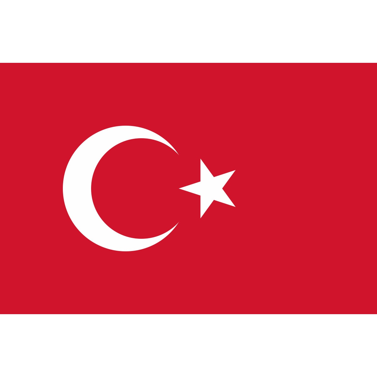 Steag Turcia, IMPRIMAT, Metropolis 135x90 cm