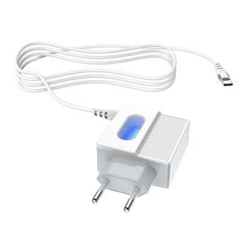 Set Incarcator Retea Hoco C75 2xUSB + Cablu Date Type C, 1m, Alb Set Incarcator Retea Hoco C75 2xUSB + Cablu Date Type C, 1m, Alb