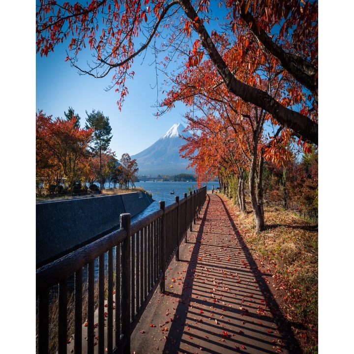 Fototapet de perete autoadeziv si lavabil Natura44, 135 x 225 cm