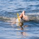 Шнорхел за техника и тренировка за младежи Finis, Original Swimmer's Snorkel Jr, Жълт