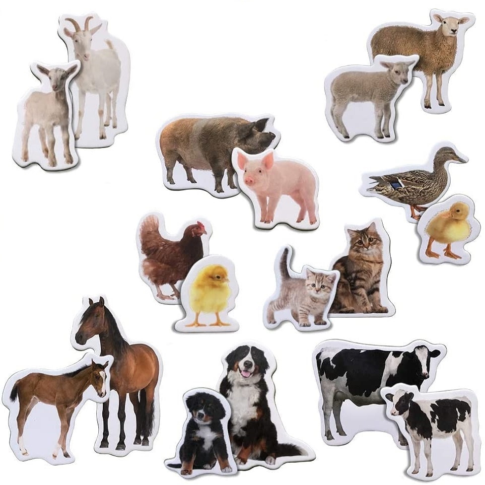 Set magneti de jucarie, MAGDUM, Baby & Mum Animals Photo, Multicolor, 18 piese, 17x12x3.7 cm
