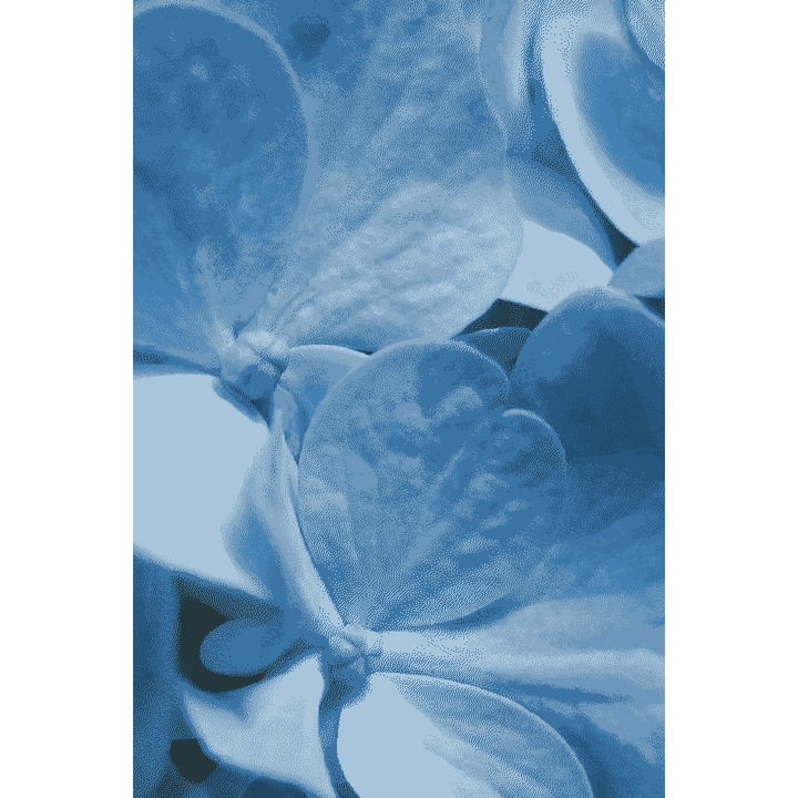 Килим Деко трейдинг Струма 055, Мокетен, Син, 160х240