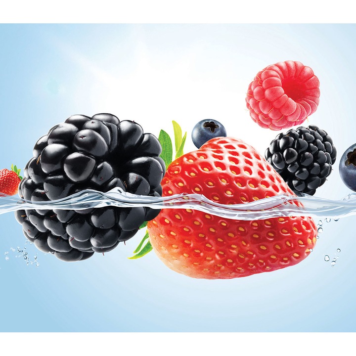 Панел, кухненски, декоративен, стъклен, защита на печка, против пръски, UV печат, октопод, щампован многоцветен, 750mmx650mm oct149-75x65