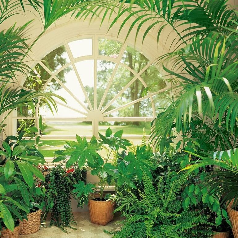 Fototapet peisagistic Wizard Genius 231 dimensiune 366cm (L) x 254cm (I) multicolor