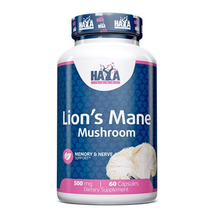 HAYA LABS - Lion's Mane Mushroom 500mg. / 60 Caps - Agyműködés