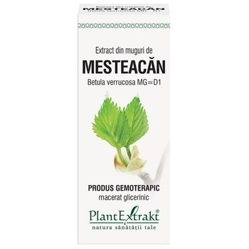 Extract din Muguri de Mesteacan 50ml PlantExtrakt Extract din Muguri de Mesteacan 50ml PlantExtrakt