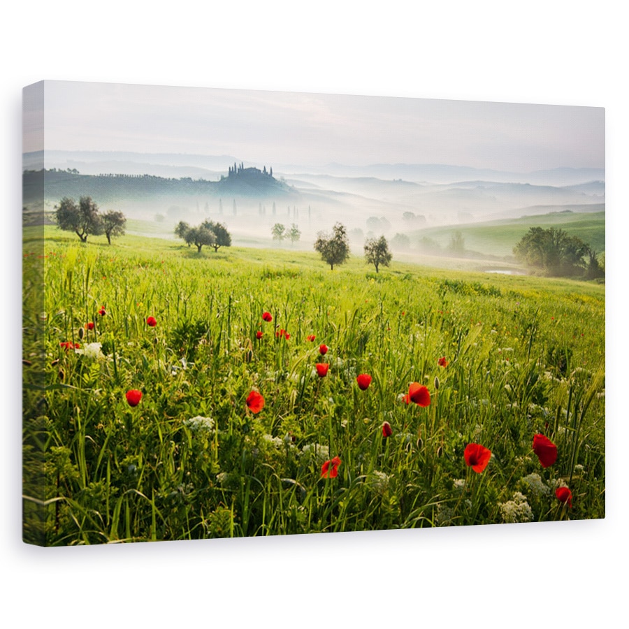 Tablou canvas - Primavara toscana, Peisaj, Italia, Ceata, Dimineata, 80 x 120 cm