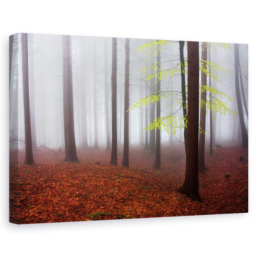 Tablou canvas - Abia trezit, Peisaj, Padure, Albastru , Ceata, 80 x 120 cm