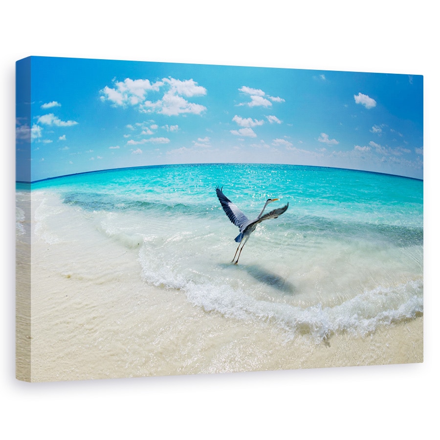 Tablou canvas - Decolare, Nature, Plaja, Orizont, Ocean, 80 x 120 cm