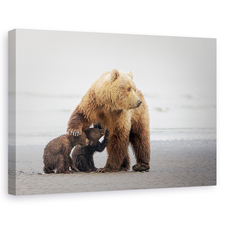 Tablou canvas - Timp pentru familie, Nature, Urs, Alaska, Hranire, 80 x 120 cm