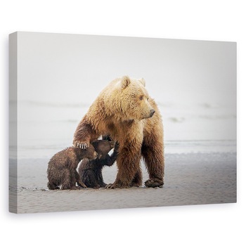 Tablou canvas - Timp pentru familie, Nature, Urs, Alaska, Hranire, 40 x 60 cm Tablou canvas - Timp pentru familie, Nature, Urs, Alaska, Hranire, 40 x 60 cm