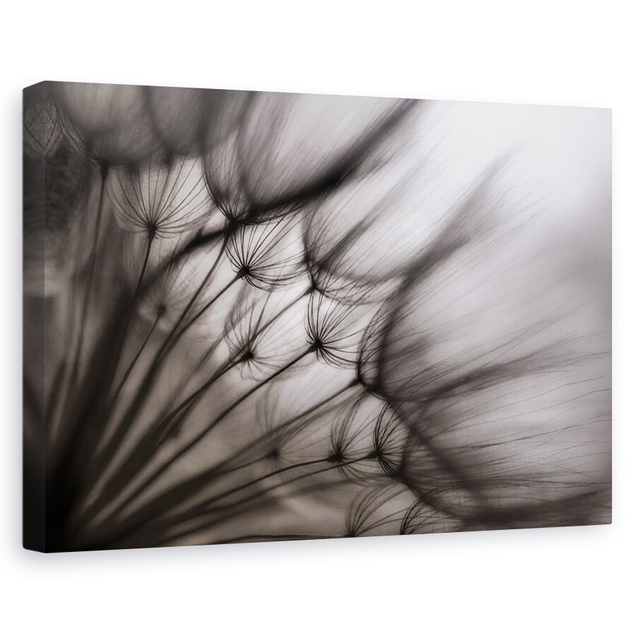 Tablou canvas - Flori, Abstracte, Atmosfera, Bland, 60 x 90 cm