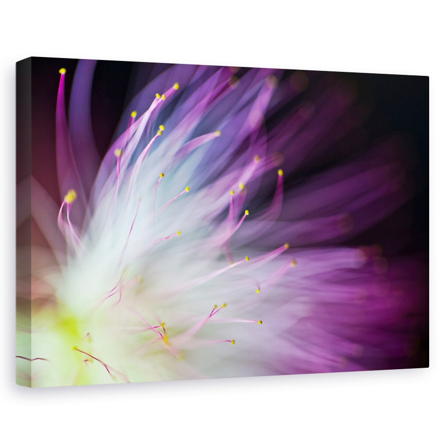 Tablou canvas - Will-o-the-Wisp, Flori, Petale, Abstract, 80 x 120 cm