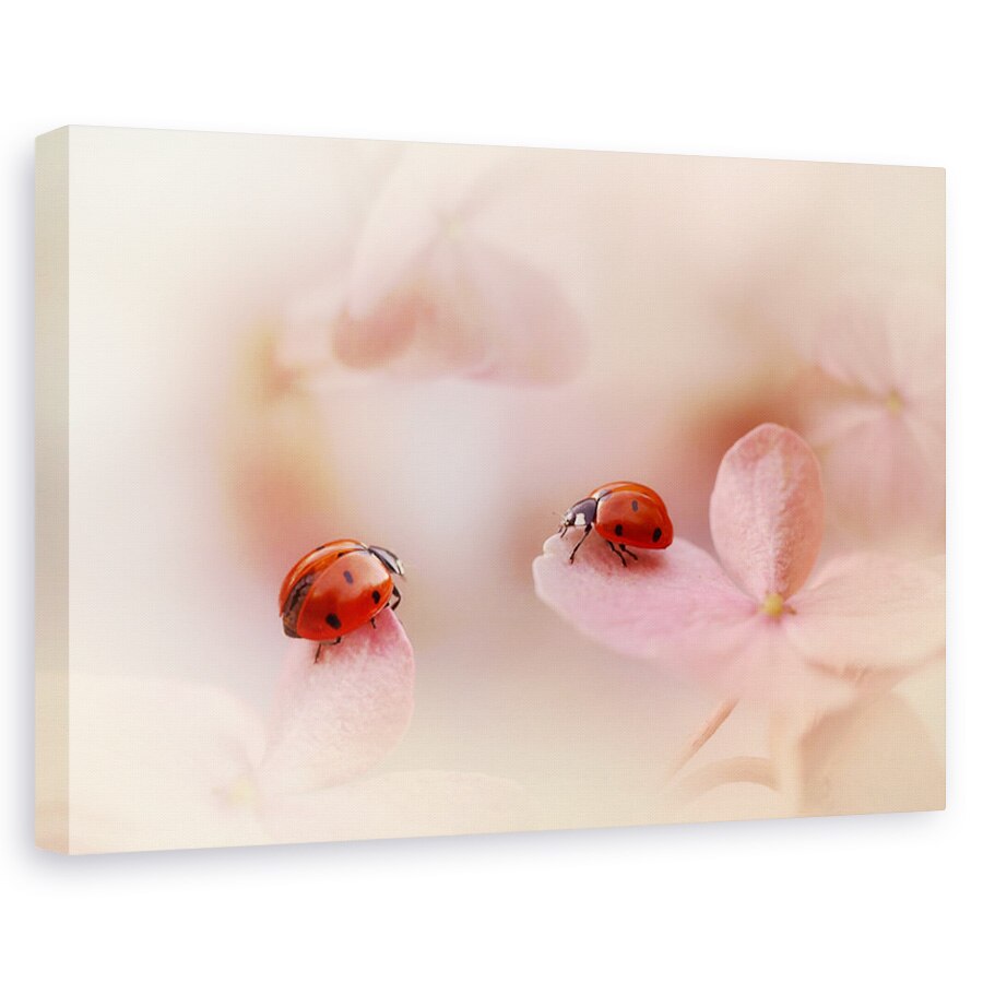 Tablou canvas - Buburuza pe hortensie roz, Flori, Romantic, Cuplu, Rosu, 80 x 120 cm